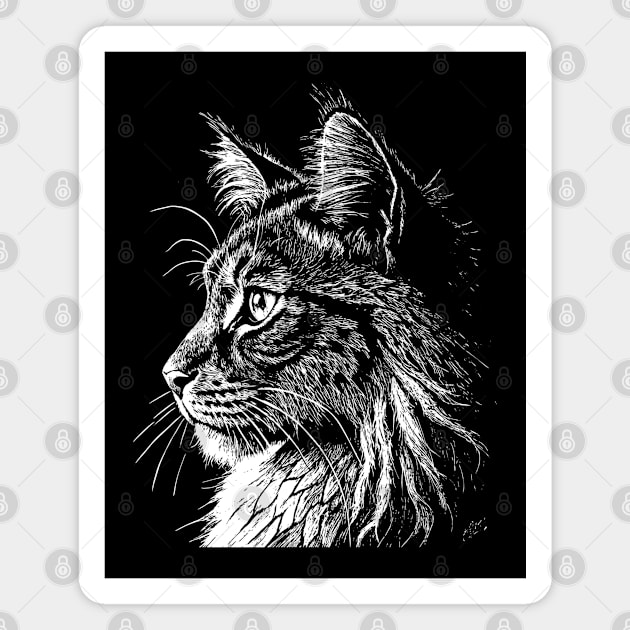 Maine Coon cat Magnet by Khrystyna27